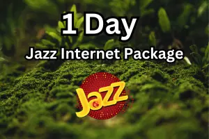 1 Day Internet Package Code